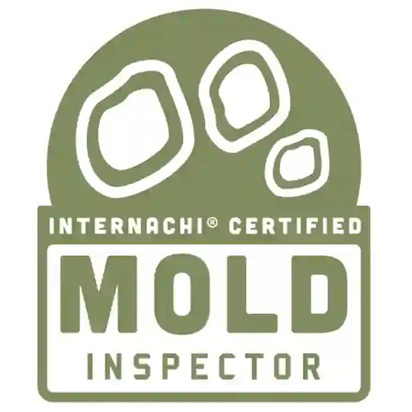 Birmingham Mold Inspector