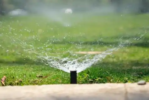 Sprinkler head spraying water on lawn