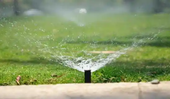 Sprinkler head spraying water on lawn